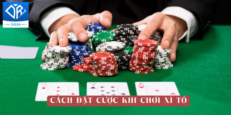 Cách đặt cược khi chơi xì tố