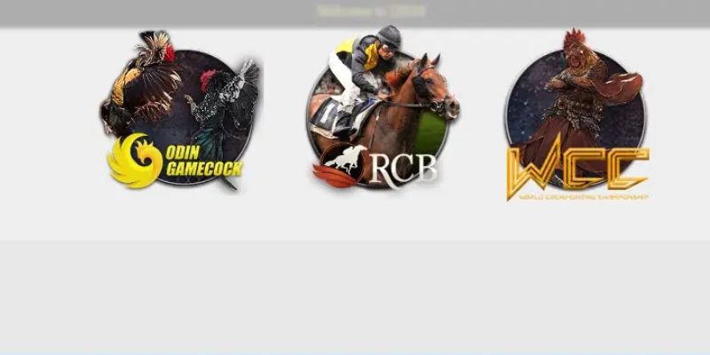 Đá gà thomo Dr88 là sân chơi uy tín