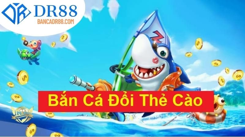 Giới thiệu tổng quan