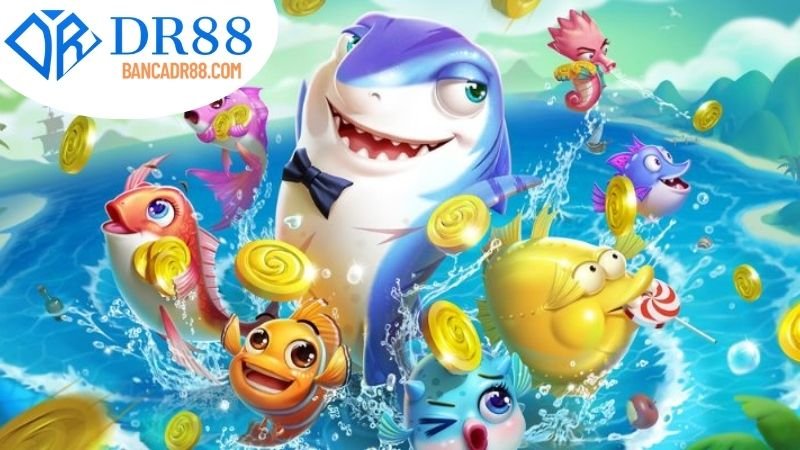 Lưu ý an toàn và rủi ro