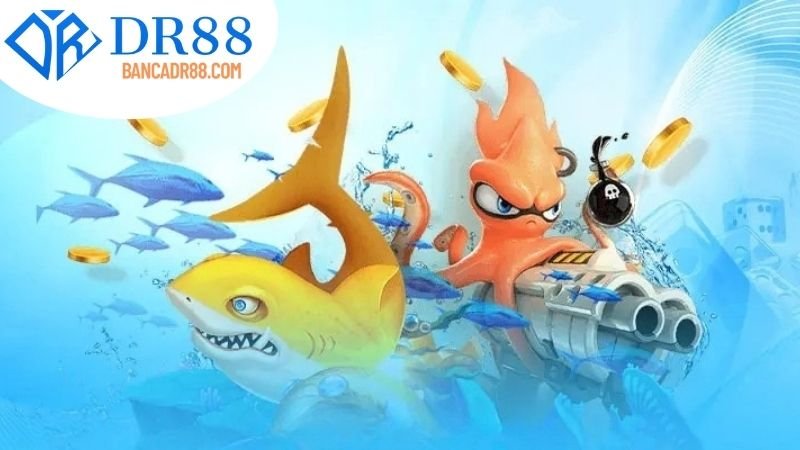 Các bước chuẩn bị trước khi Săn cá tại DR88