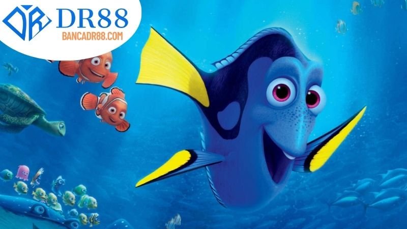 Tài khoản cá nhân tại nhà cái DR88: Đặc điểm và lợi ích