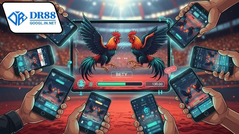 Tại sao nên xem trực tiếp đá gà tre Mỹ DR88